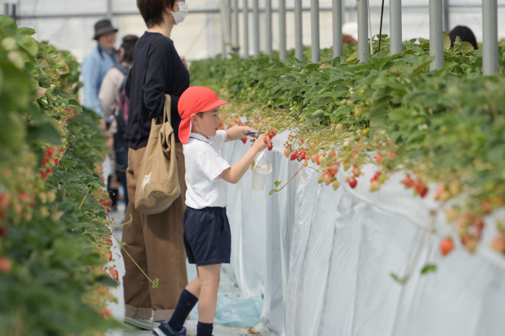 春の親子遠足